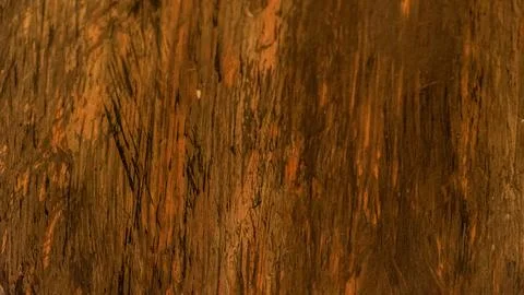 Rough wooden surface with irregular pattern as background closeup. Dark bro.. Stock Photos