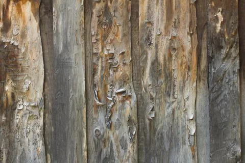 Rough wooden texture background Stock Photos