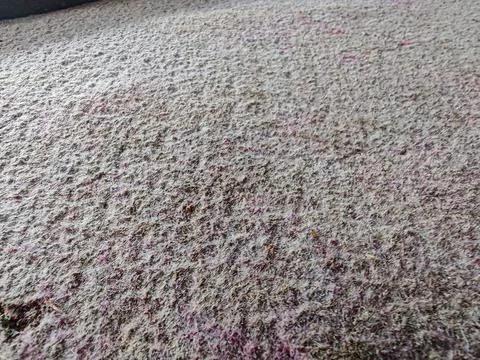 Rough Wool Fabric Texture with Purple Tint Stock Photos