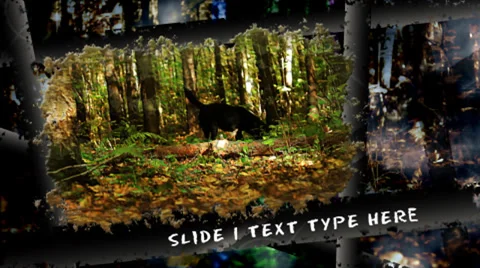 Roughen Look Presentation Stock After Effects