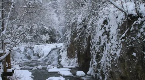 Roughlock Rapids tilt to trees Stock Footage 8983953