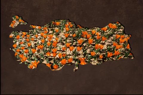 Roughly outlined map of Turkey with tulip garden filling Foto stock