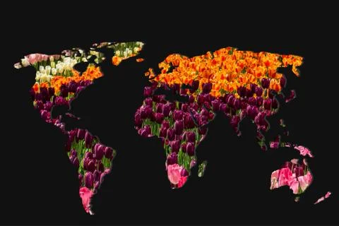 Roughly outlined world map with with tulip garden filling Stock Illustration