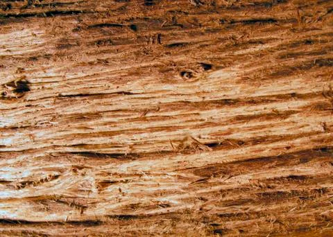 Roughly sanded wooden surface Stock Photos