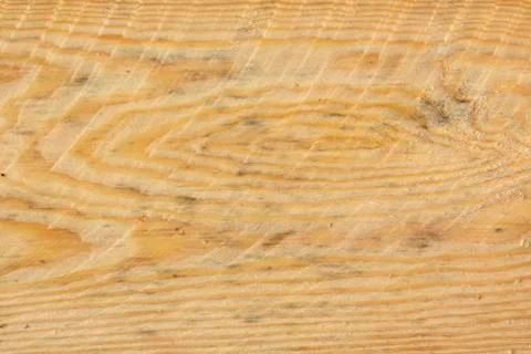 Roughly Sawn Board. Roughly processed pine board. Close-up of the cross section Stock Photos