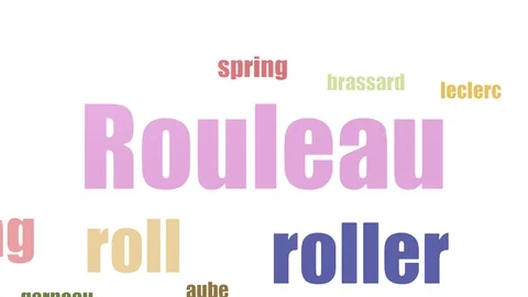 Rouleau Word Cloud Animated On White Background 스톡 동영상 103653274