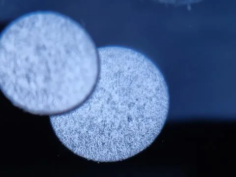 Round air bubbles trapped under clear lake ice in winte Stock Photos