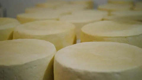 Round appetizing white-yellow heads of hard cheese without packaging close-up Stock Footage 268983489