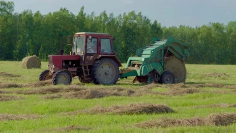 Round baler discharge round fresh hay bale during agricultural harvesting in Vídeo Stock 151341745