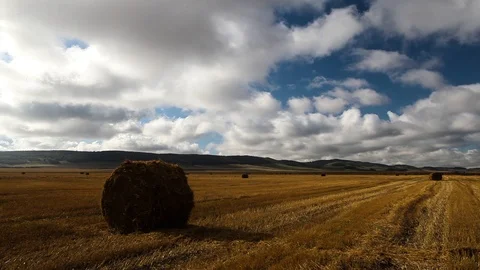 Round bales of hay. Beautiful clouds in the sky. Harvest.Haystacks on a field Video stock 100284047