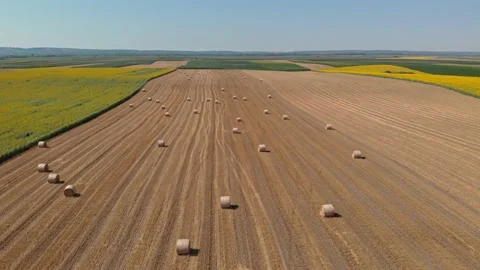 Round bales of hay Stock Footage 171572185
