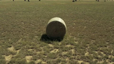 Round Bales of Hay Stock Footage 251913562