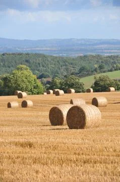 Round Bales Stock Photos