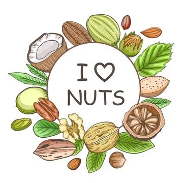 Round banner with various nuts. Stock Illustration