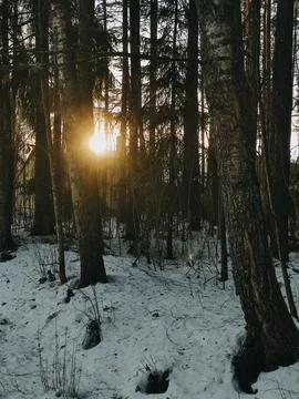 Round beam sun Stock Photos