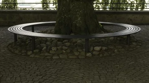 Round bench around a tree in the middle of a park Fotos de archivo