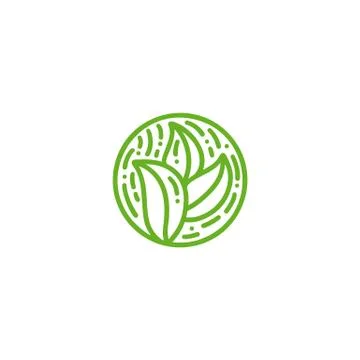 Round bio emblem in a circle linear style. Tropical plant green leaves logo.  Stock Illustration