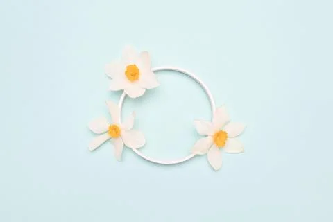 Round border frame made of white narcissus flowers. Stock Photos