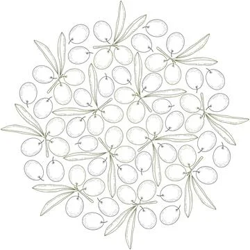 Round botanical composition of olives and leaves in monochrome hand drawn Stock Illustration
