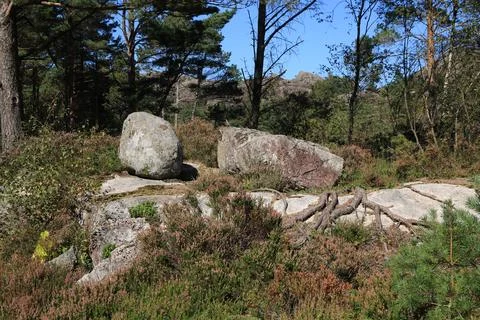 Round boulder in a forest near Hellvik, Norway. Stock Photos