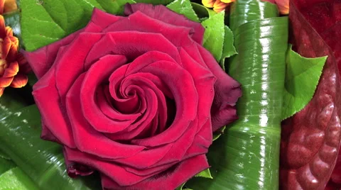 Round bouquet on a turntable Video stock 56886751