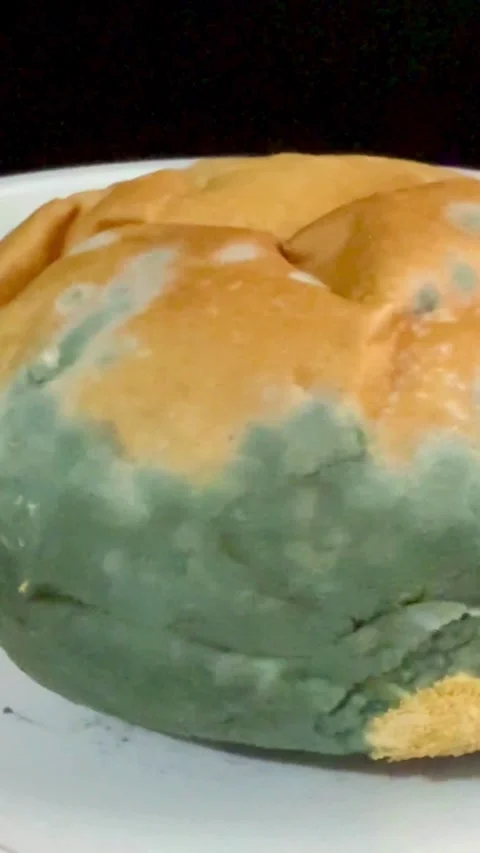 Round bread bun with green and blue mold spots Video stock 331980464