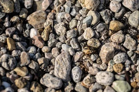 Round brounded rocks on a beach Stock Photos
