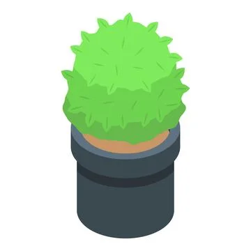 Round bush growing in pot isometric view Stock Illustration