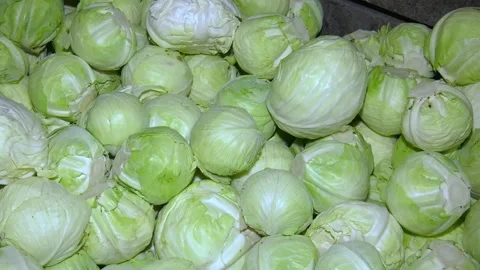 Round cabbage on the counter in the store. Stock Footage 223817460