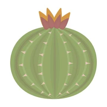 Round cactus boho wild west Stock Illustration