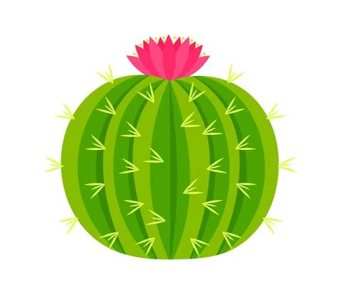 Round cactus with pink flower. Vector illustration. Stock Illustration