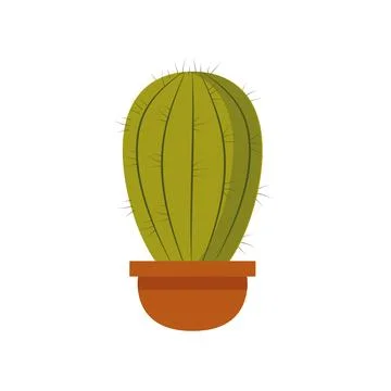 Round cactus in pot vector isolated illustration. Succulent for interior Stock Illustration