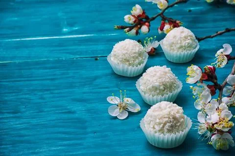 Round candy on the background of the spring flowering tree branches on wood.. Stock Photos