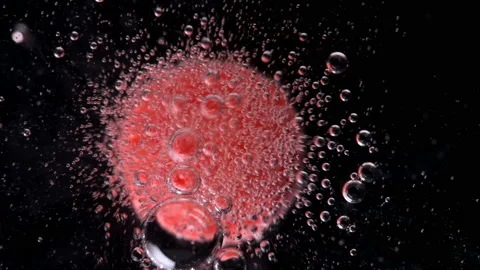 Round candy similar to a tablet, dissolves in water, releasing bubbles, close-up Vidéo 88340028