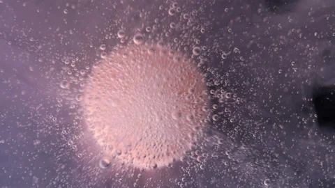 Round candy similar to a tablet, dissolves in water, releasing bubbles, close-up Vidéo 88340945
