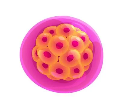 Round cartoon morula cell cluster Stock Illustration