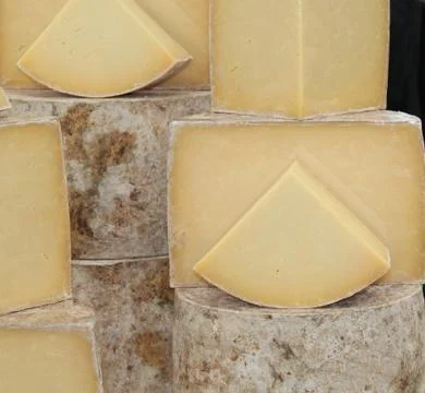 Round Cheeses. Stock Photos