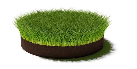 Round circle patch or island of long green grass on brown soil ground layer i Ilustración de archivo