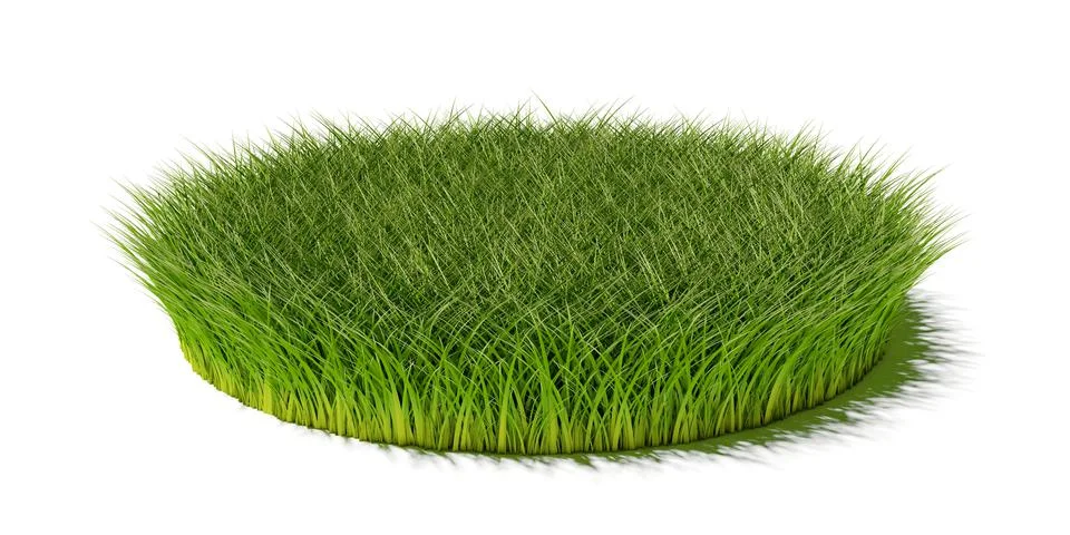 Round circle patch or island of long green grass isolated on white background Ilustración de archivo