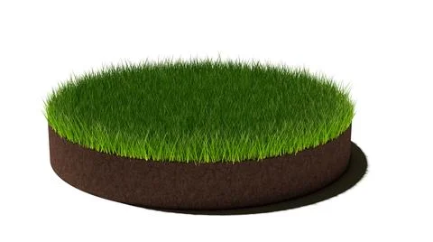 Round circle patch or island of short cut green grass on brown soil ground la Ilustración de archivo