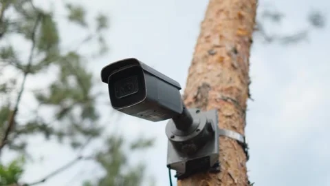 A round-the-clock surveillance camera mounted on a tree trunk in a nature reserv Stock Footage 340664864