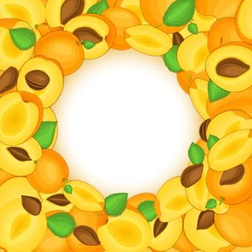 Round colored frame composed of apricots fruit. Vector card illustration. Stock Illustration