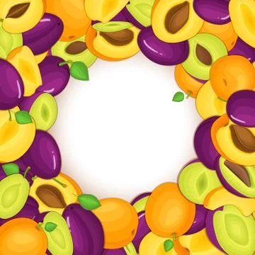 Round colored frame composed of delicious apricots plum fruit. Vector card Stock Illustration