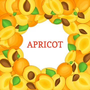 Round colored frame composed of delicious juicy apricot fruit. Vector card Illustrazione stock