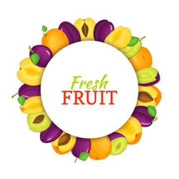 Round colored frame composed of delicious apricot plum fruit. Vector card Stock Illustration
