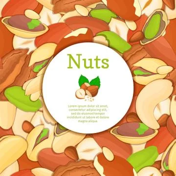 Round colored frame composed of different nuts Stock Illustration