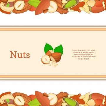Round colored frame composed of different nuts 스톡 일러스트