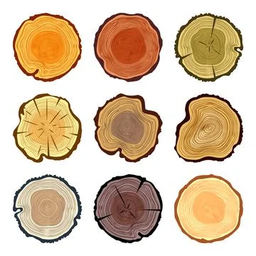 Round colorful tree trunk cuts, sawn pine or oak slices, lumber. Saw cut timber Illustrazione stock
