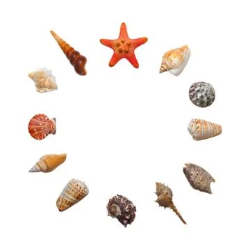 Round composition with sea shells and starfish isolated on white background Stockfoto's