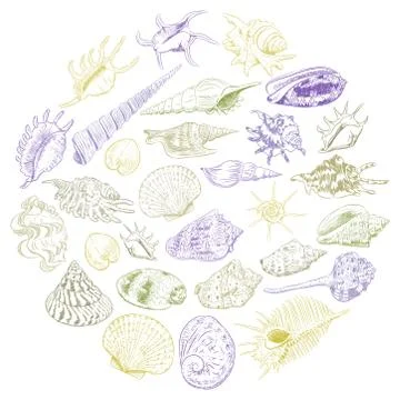 Round composition Summer concept with Unique museum collection of sea shells  Stock Illustration